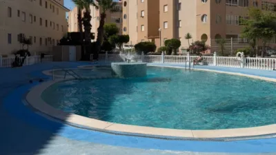 Townhouse in San Luis photo 42