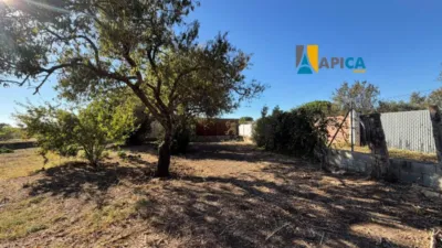 Chalet in Pinar Franceses-Bateria Colorada photo 5