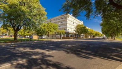 Apartment on Casuarina Street, No. > photo 35
