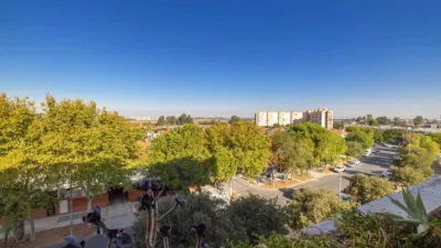 Apartment on Casuarina Street, No. > photo 6