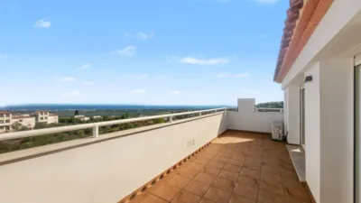 Duplex Penthouse in Montepego photo 15