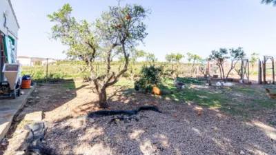 Rustic finca in Pego photo 4
