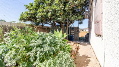 Rustic finca in Pego photo 12