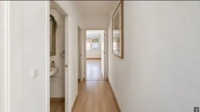 Apartment in Bons Aires photo 10