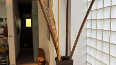 Single-family home in Urbanización Sotolargo photo 10
