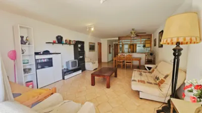 Apartment in Playa - Campello-Playa photo 5