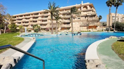 Apartment in Playa - Campello-Playa photo 31