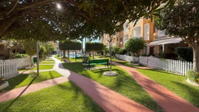 Bungalow in Campello Playa photo 31
