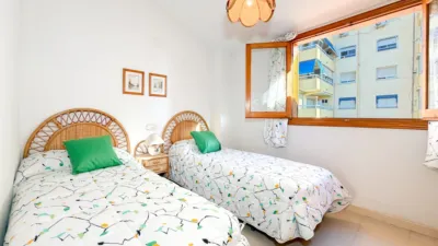 Bungalow in Campello Playa photo 20