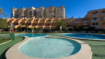 Bungalow in Campello Playa photo 27