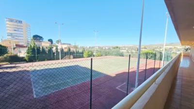 Apartment in Playa - Campello-Playa photo 28