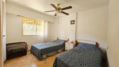 Apartment in Playa - Campello-Playa photo 4
