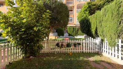 Bungalow in Campello Playa photo 33
