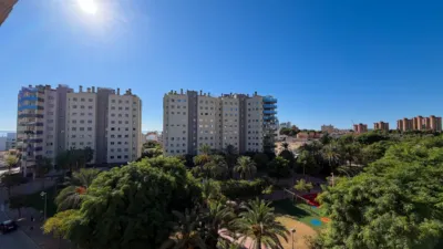 Penthouse in Campello Playa photo 22