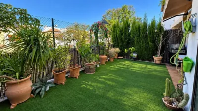 Apartment on Ana Belen Sanchez Street, No. > photo 12