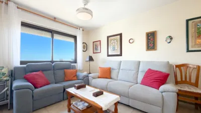 Pis – el Campello, Platja de Mutxavista - Vista 2