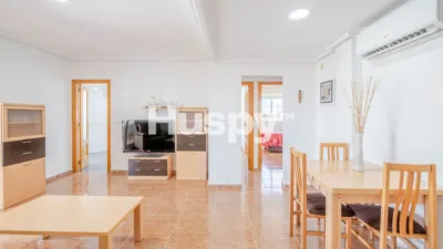 Pis – Torrevieja - Vista 3
