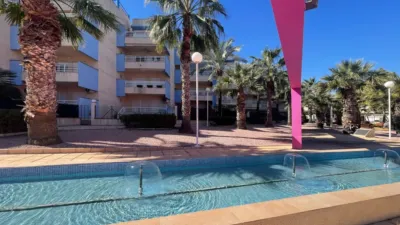 Pis – Orihuela - Vista 2