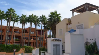 Pis – Orihuela - Vista 2