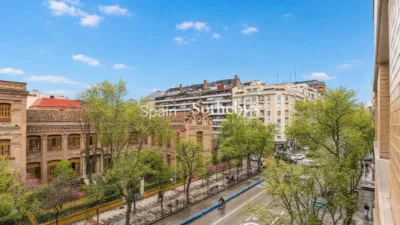 Apartment on Calle del Conde de Peñalver photo 42