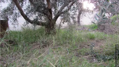 Rustic farm in Alfaix photo 25