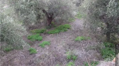 Rustic farm in Alfaix photo 28