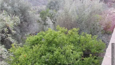Rustic farm in Alfaix photo 30