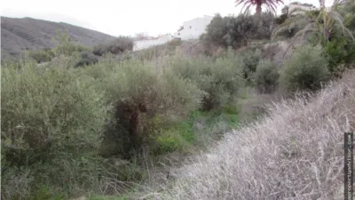 Rustic farm in Alfaix photo 34