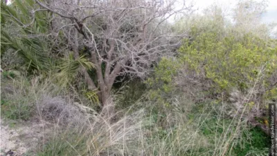 Rustic farm in Alfaix photo 47