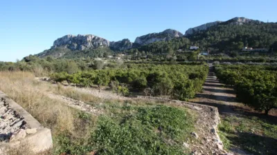 Terreno en venta en Benimeli - Vista 3