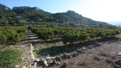 Terreno en venta en Benimeli - Vista 4