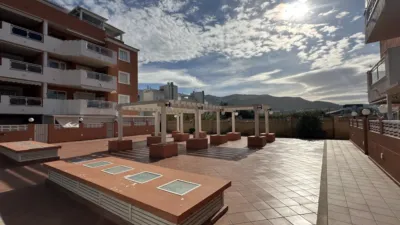 Piso - Más