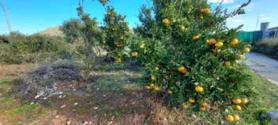 Terreno en venta en La Xara - Vista 3