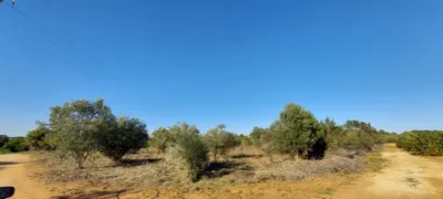 Terreno en venta en La Xara - Vista 4