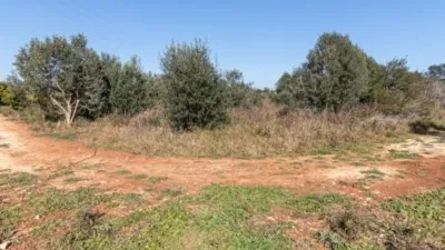 Terreno en venta en La Xara - Més