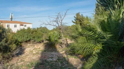 Terreno en venta en Mon Mitad - Vista 2