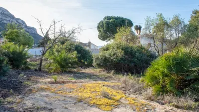 Terreno en venta en Mon Mitad - Vista 3