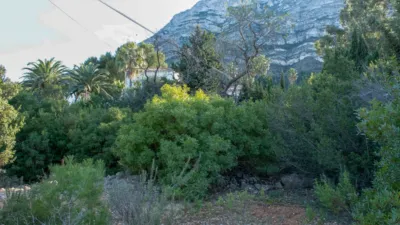 Terreno en venta en Mon Mitad - Vista 5