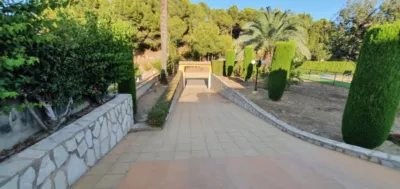 Townhouse in Oliva photo 18