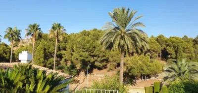 Townhouse in Oliva photo 4