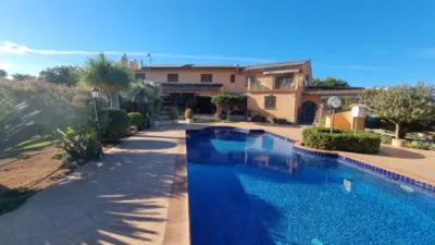Terraced house in Pedreguer photo 4