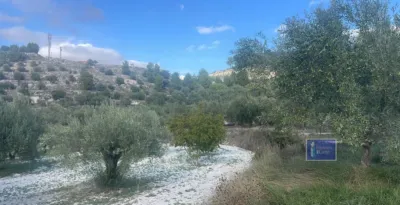 Terreno en venta en Penaguila - Vista 2