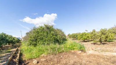 Terreno en venta en Ondara - Vista 3