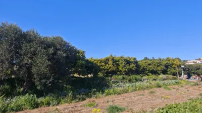 Terreno en venta en los Cerezos-La Mandarina-La Finca-Covatelles - Vista 2