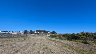 Terreno en venta en los Cerezos-La Mandarina-La Finca-Covatelles - Vista 5