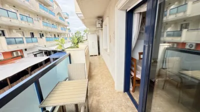 Apartment in Cabo Roig-La Zenia-La Regia photo 18