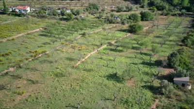 Terreno en venta en Murla - Vista 2