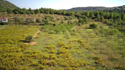 Terreno en venta en Murla - Vista 3
