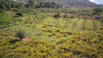 Terreno en venta en Murla - Vista 4
