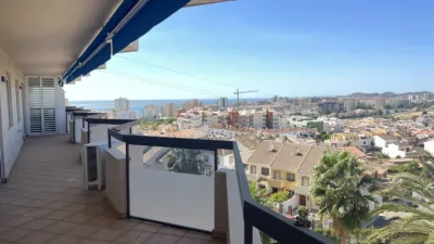Apartment in Los Pacos photo 14